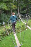 Il doit y avoir des km de ferrailles dans cette forêt