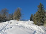 La clairière de Gros Plan, on sort au soleil et l'endroit est magnifique