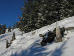 Curiosité locales, les arbres morts sur la gauche ... poussent comme des champignons !