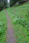 Le bisse des Audannes