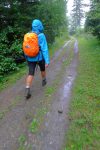 Sur une route forestière