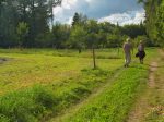 Ici il faut partir à gauche, il y a un panneau caché dans les arbres à droite.