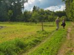 Ici il faut partir à gauche, il y a un panneau caché dans les arbres à droite.