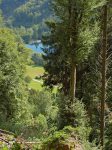 Quelques arbres sont tombés et permettent de voir le lac.