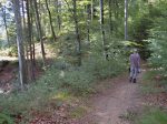 La descente se fait à travers la forêt, chemin agréable