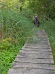 Et on longe ce marais avec une passerelle en bois et treillis