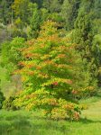 Les couleurs d'automne arrivent doucement