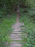 Le chemin est amménagé là aussi