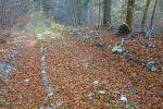 Puis retour en forêt, en perdant le chemin plus loin