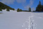 Un courageux a sorti ses skis, neige lourde et pas de pente !