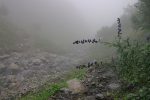 On descend le long d'un ruisseau à sec. C'est une petite variante de la montée.