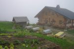 Vue sur le jardin potager de la buvette, c'est presque de l'autarcie !