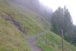 Nous ne prenons pas le chemin de la montée mais partons (presque) à plat vers la Forêt de Bonaveau.