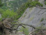 Une trouée dans la forêt, nous permet de voir le versant O abrupte.