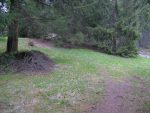 Clairière vers 1530m, avec un chemin qui vient de Certoudin