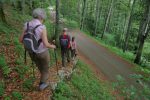 On retrouve la route, il n'y a pas de panneau ici