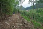 Puis un chemin forestier avant une route goudronnée