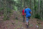 On descend le chemin de la crête