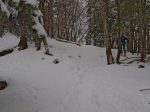 On monte à travers la forêt