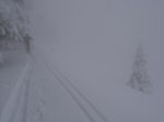 J'ai bien aimé cette partie du parcours, c'est aéré et plus agréable à skier. Il manque juste la vue !