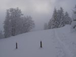 Sur la crête de Les Erouines, on sort de la forêt dense, ça fait plaisir. On est à 1380m, et j'ai cru que nous allions sortir du stratus qui selon la météo se situait à 1100m