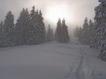 Très esthétique cette fin de parcours, on se dit que le stratus c'est bientôt fini, le soleil va bientôt percer. Faisons confiance au météorologue