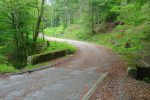 Départ par la route forestière