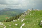 Aiguilles de Baulmes