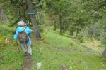 Chemin bien tracé et marqué