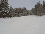 On s'enfonce dans la clairière de la Forêt des Ecottis, puis ensuite un arc de cercle par la droite.