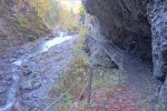 Les Gorges de l'Avançon