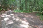 Retour en forêt