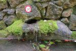 Source de la fontaine