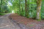 Dernier tronçon en foret