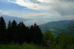 Vue sur le Léman depuis la terrasse du restaurant