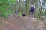 Dernière descente