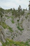 Ca manquait une descente/remontée