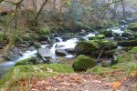 L'Areuse