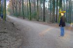 Le chemin oscille entre route forestière et chemin