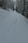 Descente agréable
