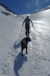 Je croise un homme nommé Norbert et son chien Bliss