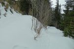 Chemin d'été vers 1800m