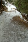 Ski de printemps