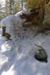 Après recherche, voilà le chemin d'été