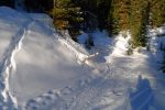 On croise une route forestière
