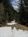 Après un peu de galère, j'ai porté mes skis sur la moitié du parcours avec du hors piste pentu en forêt. En été, cela ne m'aurait pas gêné mais avec les chaussures de ski et les skis à porter, c'est un autre sport. Je retrouve une route qui me ramène au Pont de Tsarevesse
