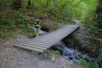 En forêt