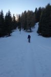Une vieille trace