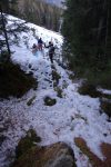 Détour par la forêt