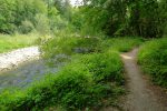 Parfois nous longeons les berges de l'Aubonne